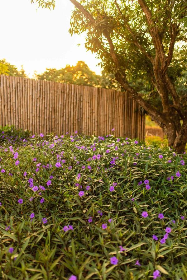 Roukh Kiri Khaoyai Villa Pakchong Ngoại thất bức ảnh